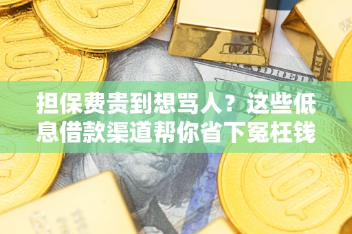北京担保费贵到想骂人？这些低息借款渠道帮你省下冤枉钱