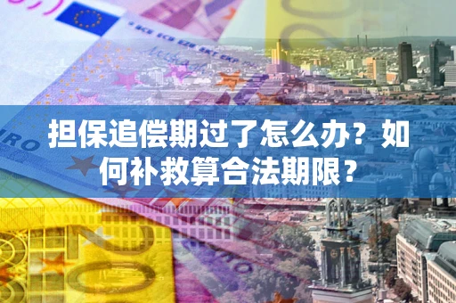 北京担保追偿期过了怎么办？如何补救算合法期限？