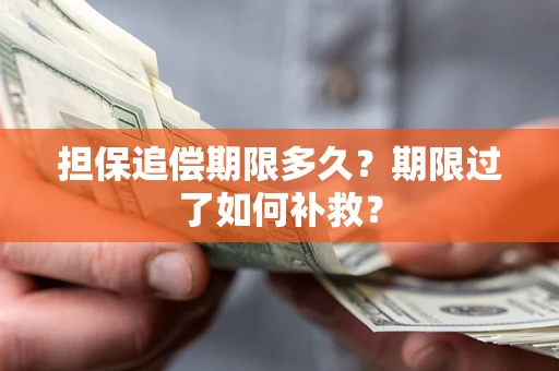 北京担保追偿期限多久？期限过了如何补救？
